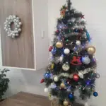 старчески дом - цалапица пловдив 3